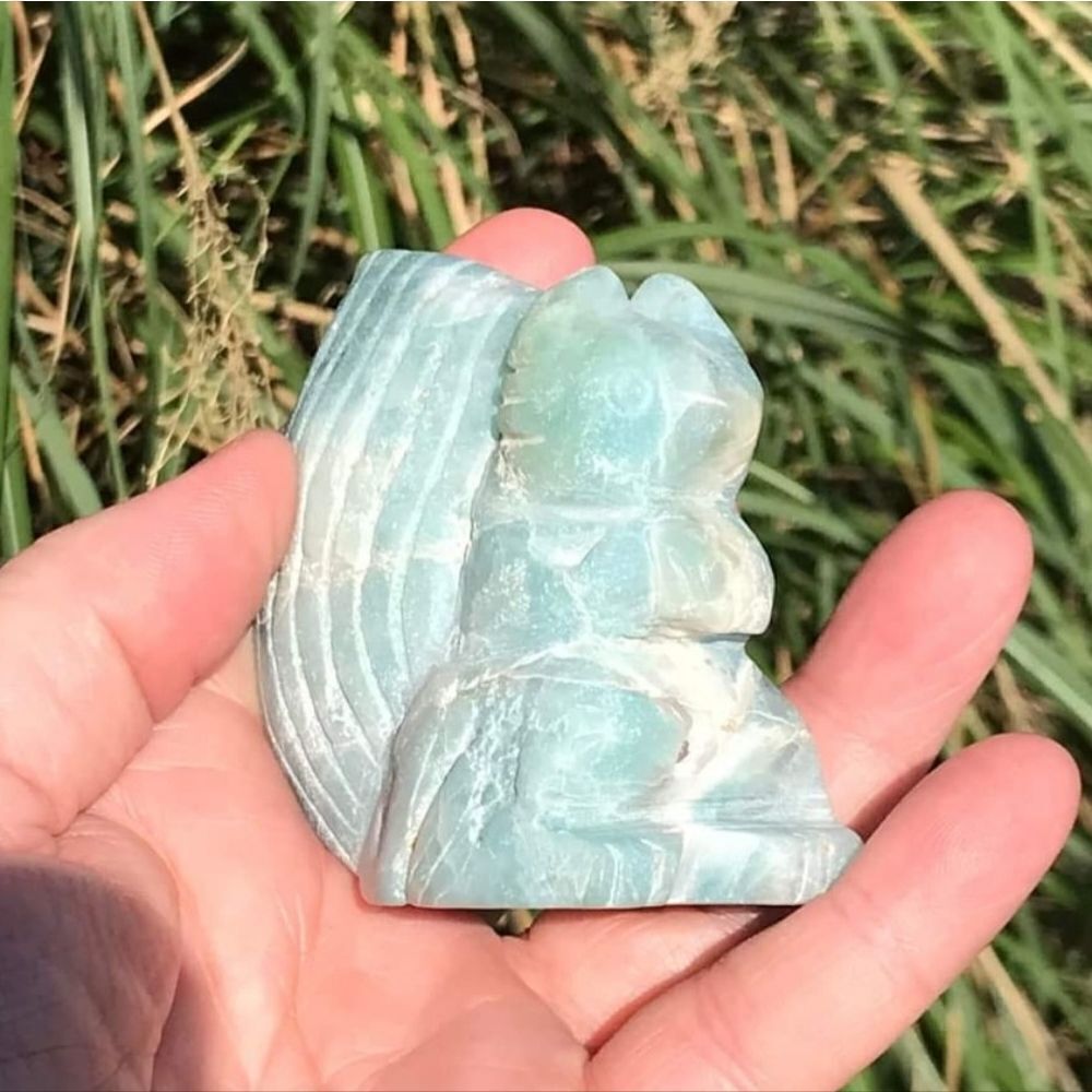 Caribbean Calcite Squirrel - Picture 7 of 10
